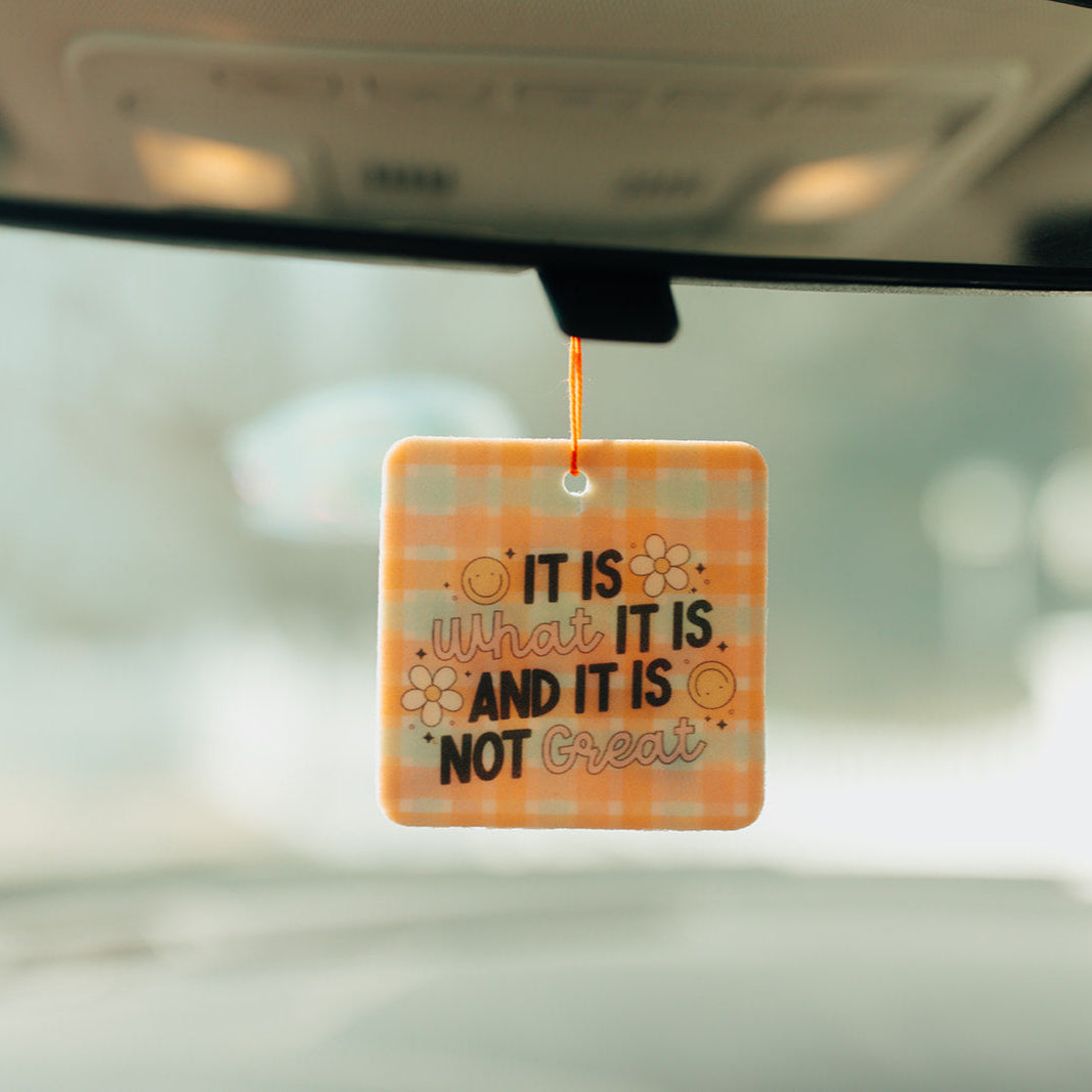 Car Air Freshener, It Is What It Is And It Is Not Great