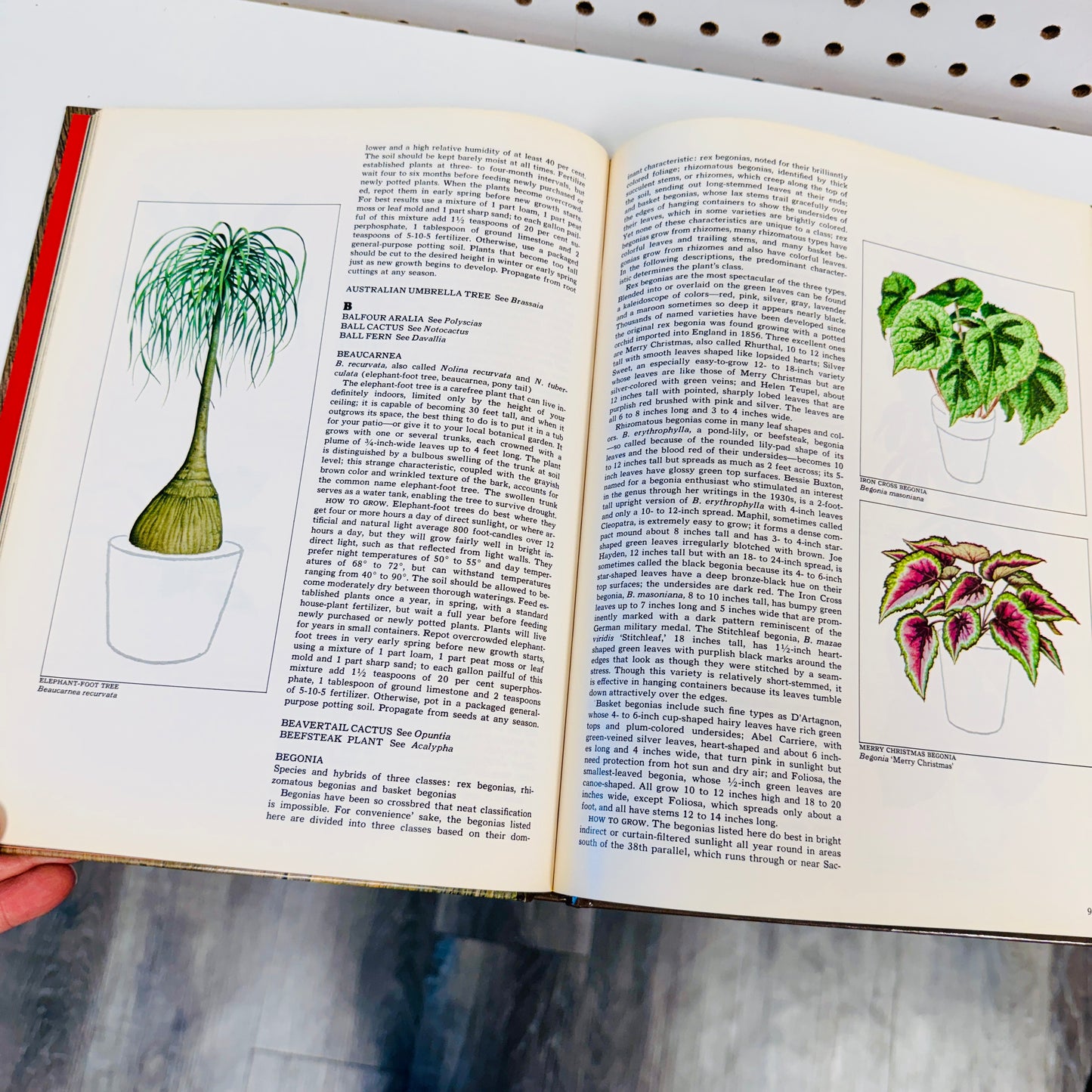 Found Book, Foliage House Plants 1977