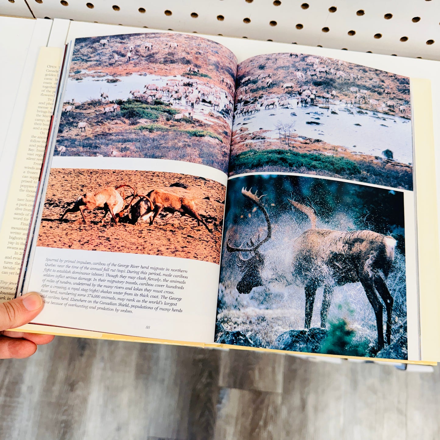 Found Book, Canada's Wilderness Lands 1982