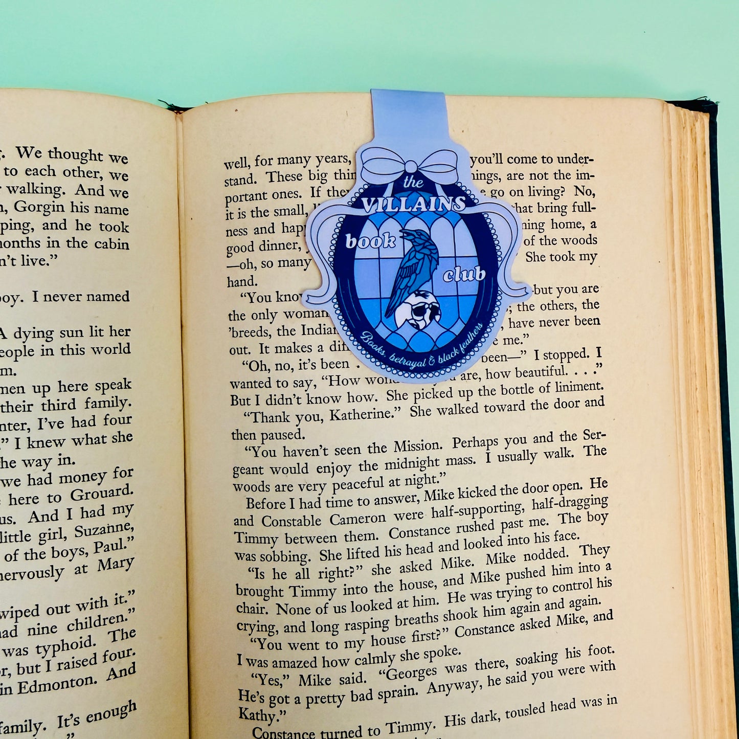 Magnetic Bookmark, The Villains Book Club