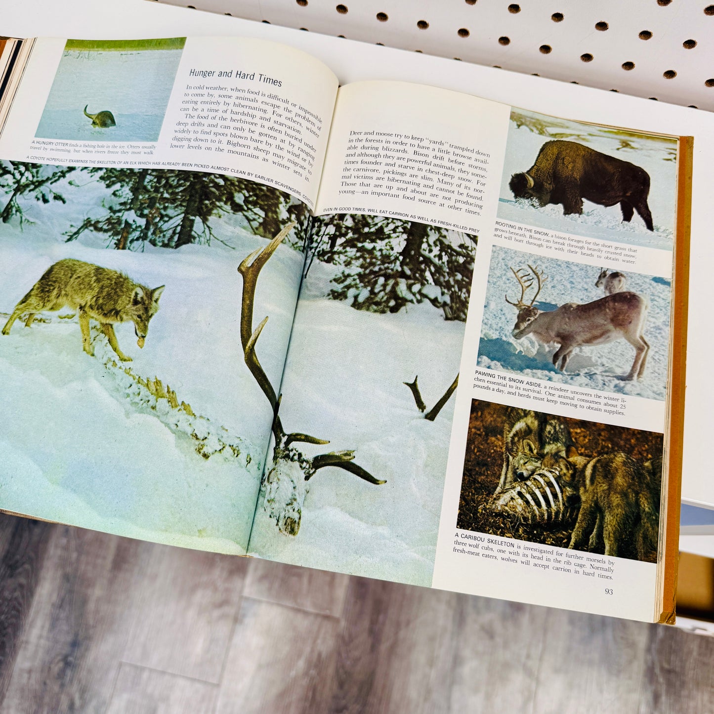 Found Book, The Mammals 1963