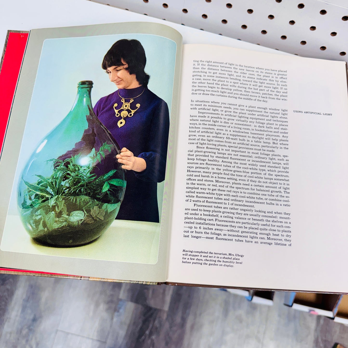 Found Book, Foliage House Plants 1977