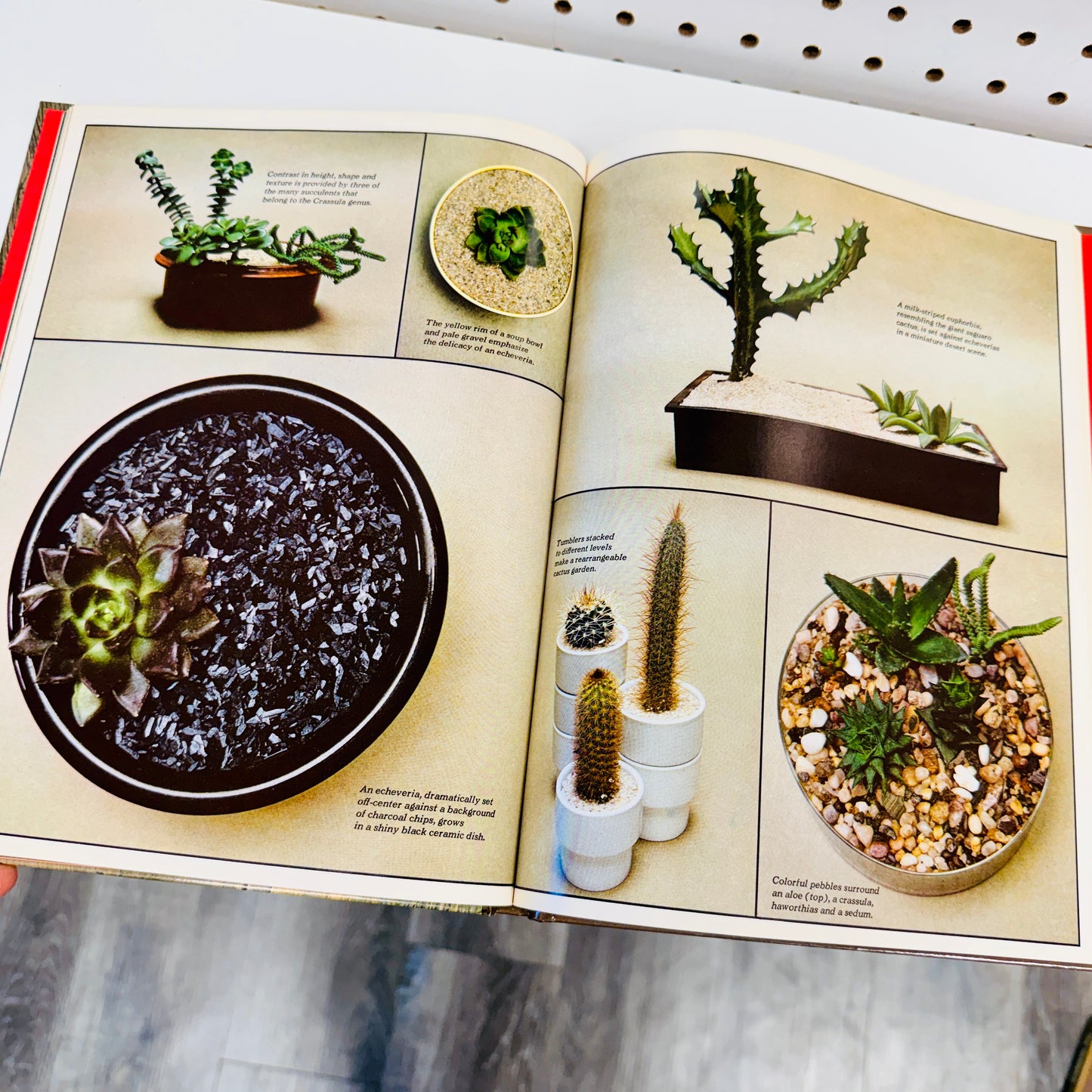 Found Book, Foliage House Plants 1977
